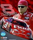 Dale Earnhardt Jr NASCAR Auto Racing 8x10 Photograph Signature Series Collage 2