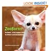 ZooBorns