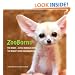 ZooBorns