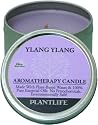 Ylang Ylang Aromatherapy Candle- made with 100% pure essential oils- 24 hr. burn time