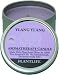 Ylang Ylang Aromatherapy Candle- 24 hr. burn time- made with 100% pure essential oils