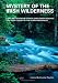 Books : Mystery of the Irish Wilderness: Land and Legend of Father John Joseph Hogan's Lost Irish Colony in the Ozark Wilderness