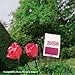 Amazon-Suche