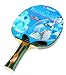 Sports : Butterfly Tischtennis-Schl&auml;ger "Werner Schlager BRONZE"