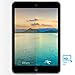 Sentey LS-14112 Ipad Screen Protector for Apple iPad 4/3/2/ iPad Retina Display