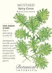 Mustard "Spicy Green" Seeds