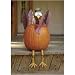 Large Turkey Pumpkin Wear