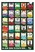 Empire 263582 Southpark - Quotes, Film Kino Movie Poster ca. 91,5 x 61 cm
