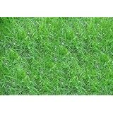 ���i�̏ڍ�