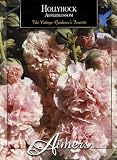 Aimers 3224 Hollyhock Appleblossom Seed Packet