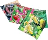 Trustex Assorted Flavors Non lubricated: 12 Pack of Condoms