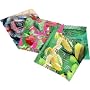 Trustex Assorted Flavors Non-lubricated: 12-Pack of Condoms