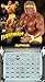WWE Legends Wall Calendar (2015)