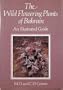 The Wild Flowering Plants of Bahrain: An Illustrated Guide