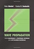Wave propagation : from electrons to photonic crystals and left-handed materials