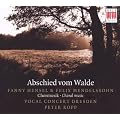 Abschied Vom Walde