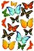 Martha Stewart Crafts Stickers, Butterflies