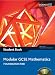 Edexcel GCSE Maths Modular Evaluation Pack (Edexcel GCSE Maths)