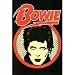 David Bowie - Personality / Music Poster (Retro Look) (Size: 24