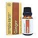 Simply Earth Ginger Essential Oil by (Ginger Root) - 15 ml, 100% Pure Therapeutic Grade