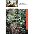 Buried Strangers (A Chief Inspector Mario Silva Investigation) (Paperback)