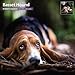Basset Hound 18 Month 2016 Traditional Wall Calendar