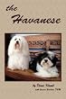 the Havanese