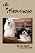 the Havanese