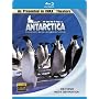 (IMAX) Antarctica - Blue Ray Disc [Blu-ray] [1991]