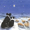 Winter's Watch Border Collie & Sheep Christmas Cards Pack