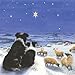 Winter's Watch Border Collie & Sheep Christmas Cards Pack