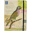 Cavallini Parakeet Map hardbound notebook with elastic
