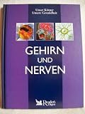 Produkt-Bild: Gehirn und Nerven (Unser K&ouml;rper - unsere Gesundheit)