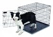 Petmate Home-Training 30-by-21-by-24-Inch Wire Dog Kennel, Intermediate