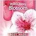 Suave Essentials Body Wash, Wild Cherry Blossom 12 oz