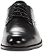 Stacy Adams Men's Graham Oxford