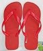 Havaianas Men's Top Flip Flops