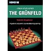 Chess Explained: the Grunfeld