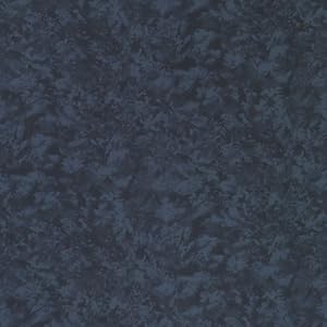 Westcott Photo Basics 5' x 8' 583 Background (Twilight)