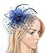 Womens Big Flower Mesh Feather on Hair Clip Headwear Fascinator (C-Navy Blue)