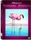 Disneynature Crimson Wing  Mystery Of Flamingo