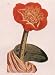 Colored Blood-Flower - Poster (11.75x15.5)