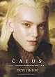 Twilight - New Moon - Single Cards - NON-SPORTS 2009 Neca New Moon Single Trading Card #19 Caius (Jamie Campbell Bower)