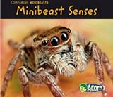 Minibeast senses