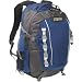 JanSport Air Penny Backpack
