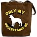 Canvas Tote Bag Brown  Only My Australian Cattle Dog Understands Me  Dog