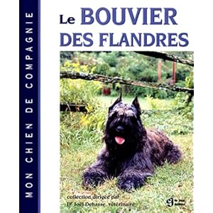 Bouvier des flandres