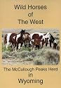 Wild Horses of the West (The McCullough Peaks Herd)