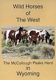 Wild Horses of the West ( The McCullough Peaks Herd )