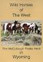Wild Horses of the West ( The McCullough Peaks Herd )